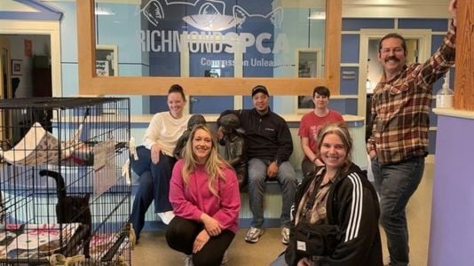 Bling Graphic 02 Images-1