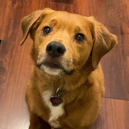 Copper